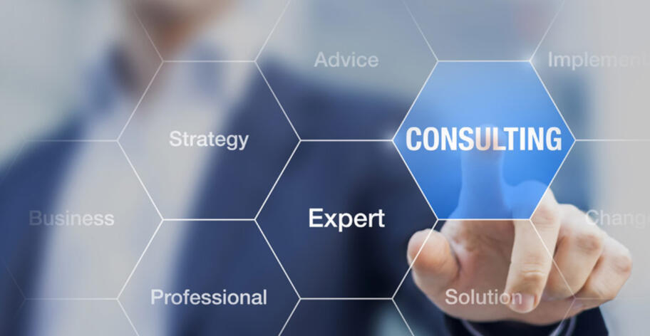 BUSINESS CONSULTANT